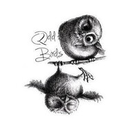 2 ODD BIRDS Logo