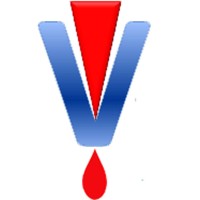 Visu Craft LLC Logo