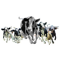Beltman Farm Technologies Hoogeveen Logo