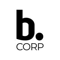 Brainsonic Corp Logo