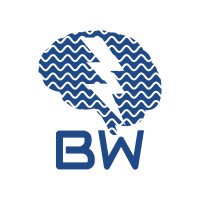 Brainwave Logo