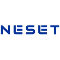 Neset Consulting Services Logo