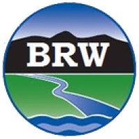 Brahamputra Cargo Carriers Pvt.Ltd Logo