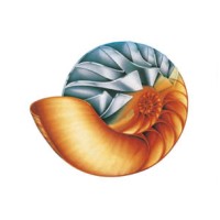 STS RAVENNA Logo