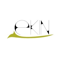 EKIN CONSULTORIA Logo