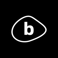 BLACK EXECUTIVE AVIATION Logo