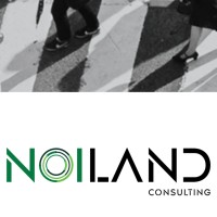 Noiland Consulting Logo