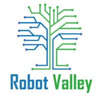 Robot Valley Logo