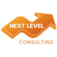 Next Level Consulting Logo