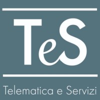 TELEMATICA E SERVIZI SRL Logo