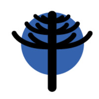 Rumbo Colectivo Logo