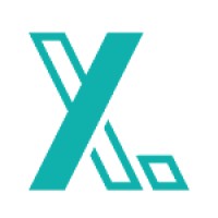 The X Logo
