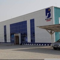 Blue Camel Energy Logo