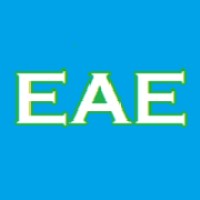 Effective Agility Evolution Logo