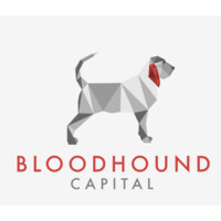 Bloodhound Capital, LLC Logo