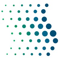 The Pettibon System Inc. Logo