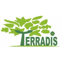 TERRADIS Logo