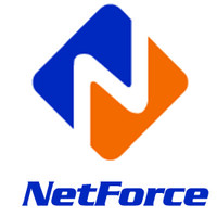 NetForce Logo