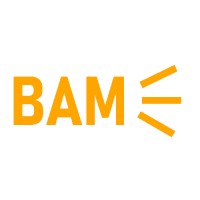 BAMSFX Logo