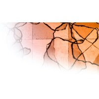 Everard Advisory Logo