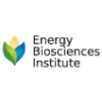 Energy BioScience Institute-University of Illinois at Urbana-Champaign Logo