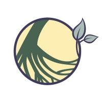 Healing Schools Project Logo