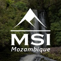 MSI Mozambique Logo
