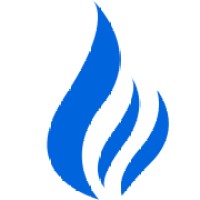Pionero JSC Logo