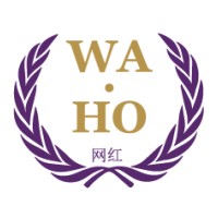 WA.HO ACADEMY Logo