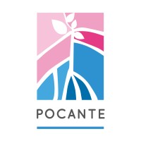 Rede Pocante Logo