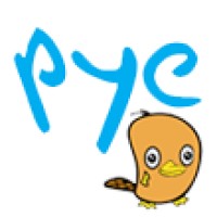 Pye Ai Logo