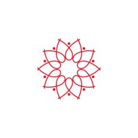 IRISSTAR Technologies Logo
