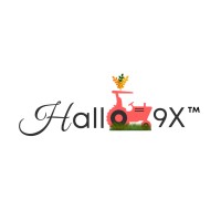 Hallo9x Logo