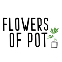 Flowers of Pot - silk home decoration Logo