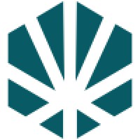 Consejo Mexicano de Cannabis y Cáñamo Logo