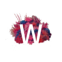 The W Place Logo