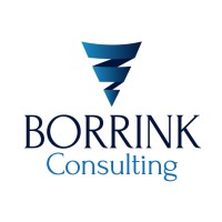 Borrink Consulting Logo