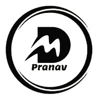 DM Pranav | The Digital Marketing Company Logo