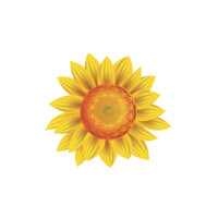 Prescribing Life, LLC Logo