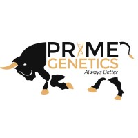 Prime Genetics Pvt. Ltd. Logo