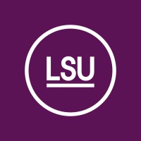 LSU - The National Council of Swedish Children and Youth Organisations Logo