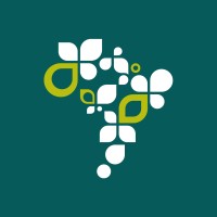 Hy Brazil Energia Logo