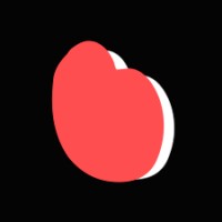 ViceRoi Network Logo