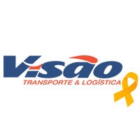 Visão Transporte Logo