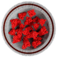 ACM Biosciences AG Logo