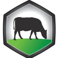Easy Silage Logo