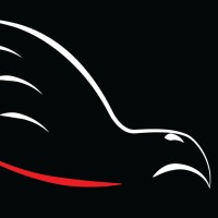 Birds View Films Logo