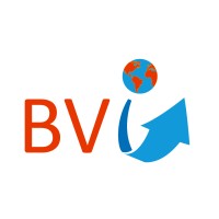 BV International Logo