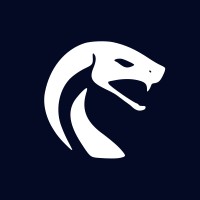 Viperax.com - Digital marketing specialists Logo