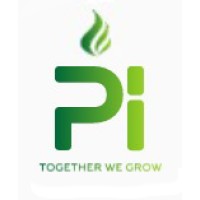 Pi Group Logo